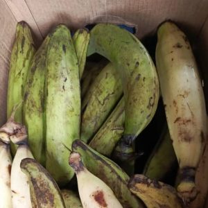 Banane plantain
