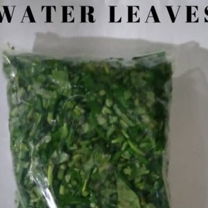 Waterleaf